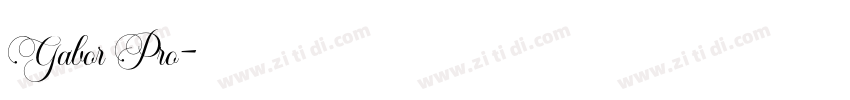 Gabor Pro字体转换